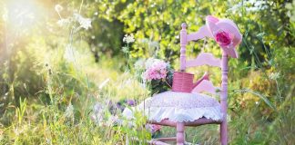 The Importance of Gardening As a Hobby