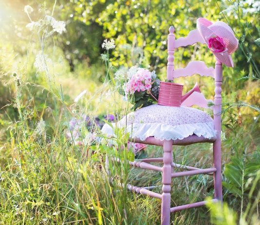 The Importance of Gardening As a Hobby